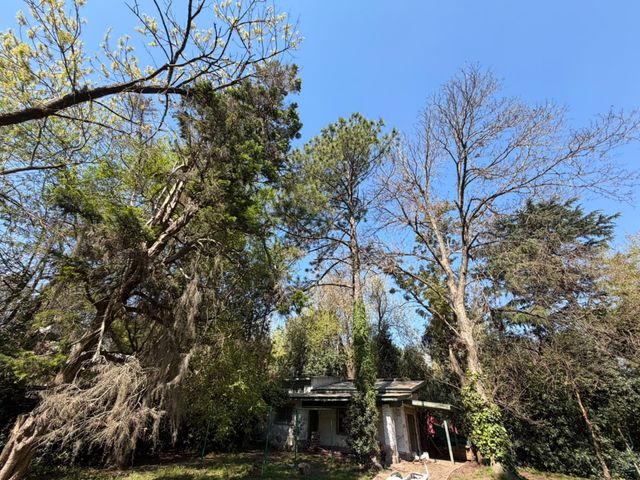 place photo 31