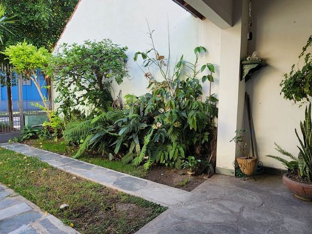 place photo 62