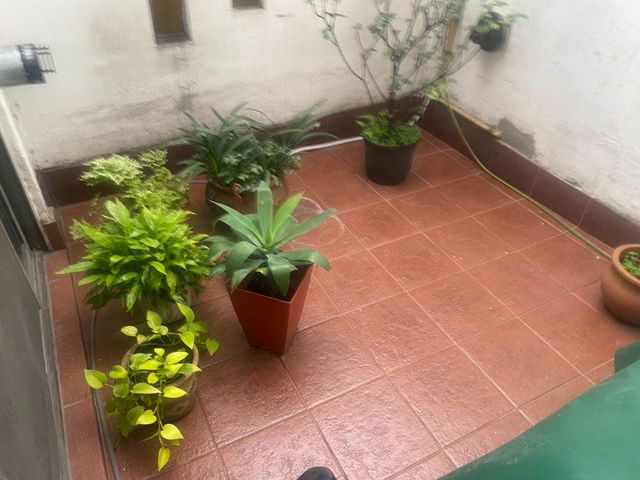 place photo 35