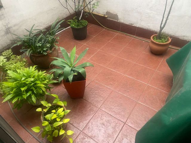 place photo 34