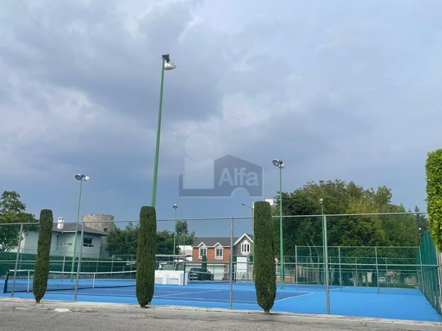 place photo 28