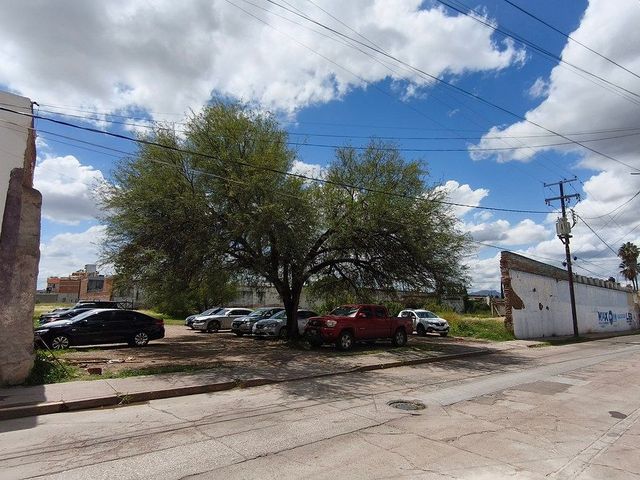 place photo 24