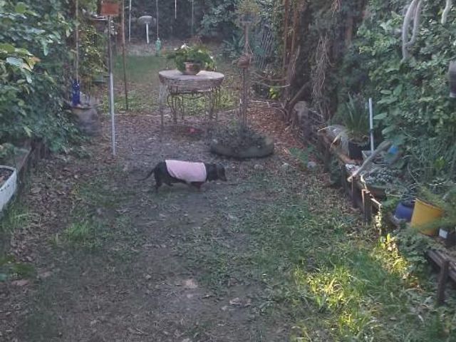 place photo 31