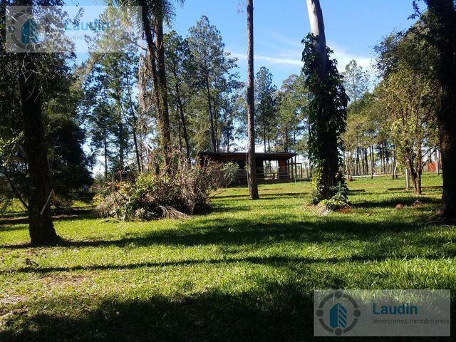 place photo 25