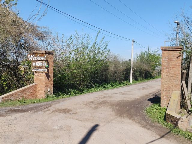 place photo 42