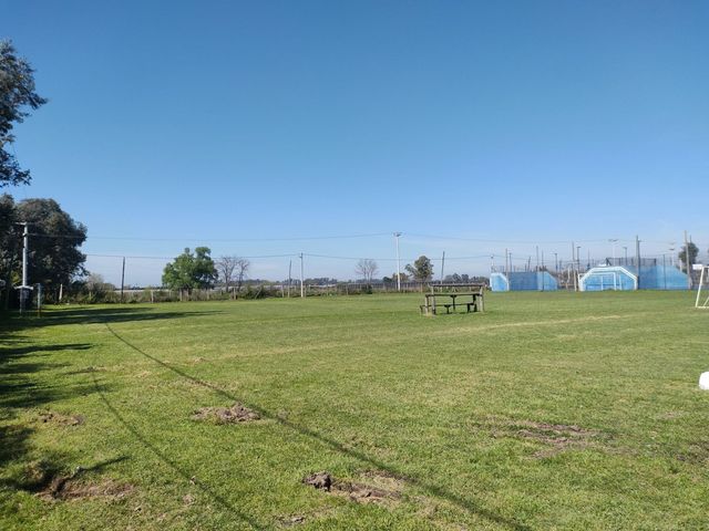 place photo 39