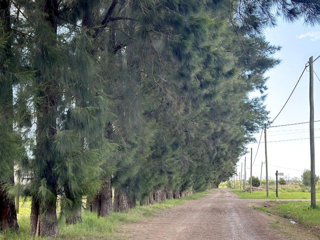 place photo 38