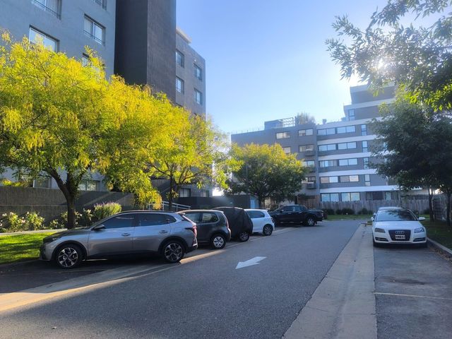 place photo 40