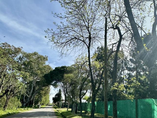 place photo 35