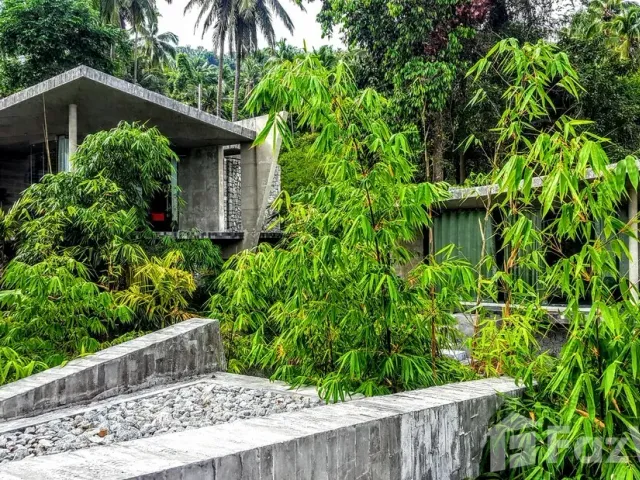 place photo 46