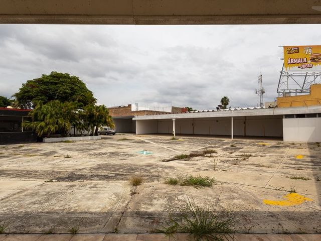 place photo 10