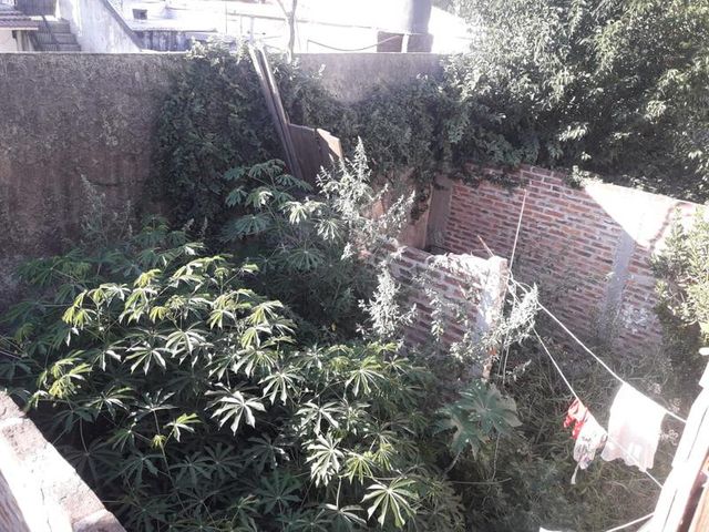 place photo 20