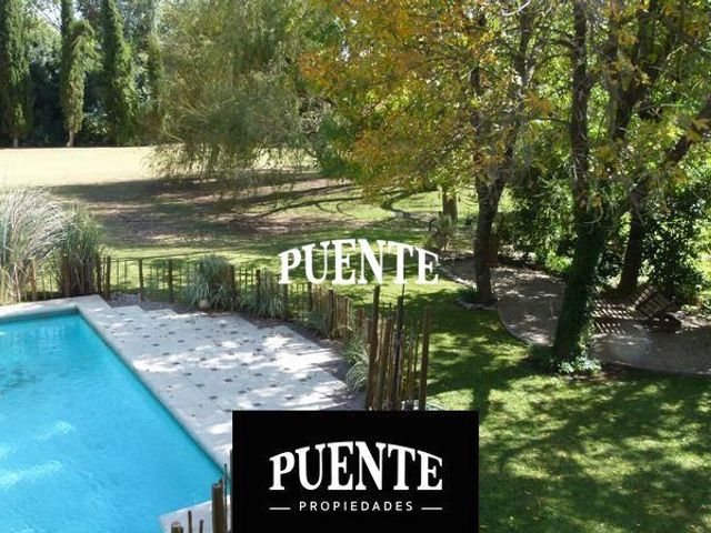 place photo 49