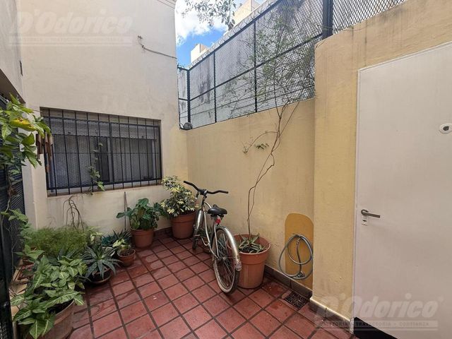 place photo 22