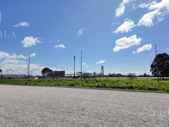 place photo 15