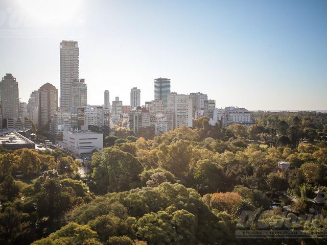 place photo 45