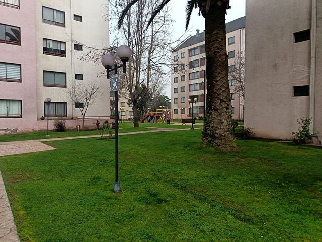 place photo 50