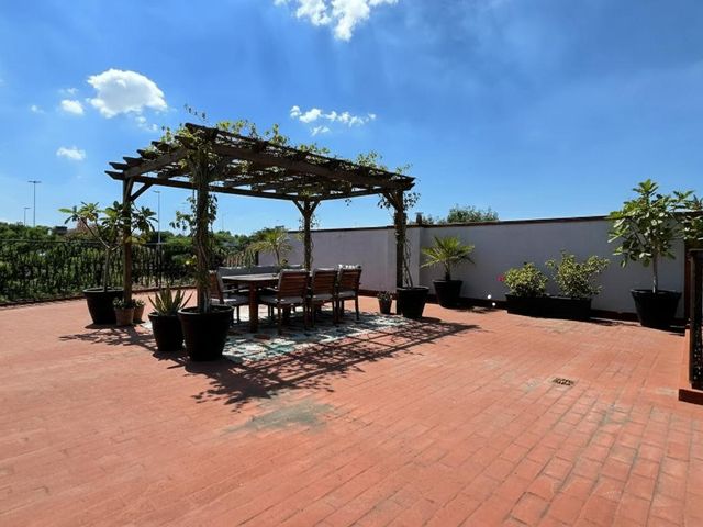 place photo 37