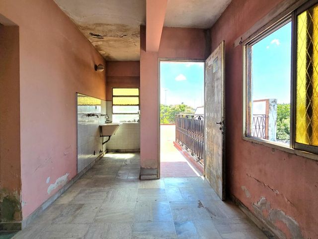 place photo 40
