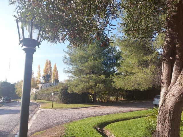 place photo 44