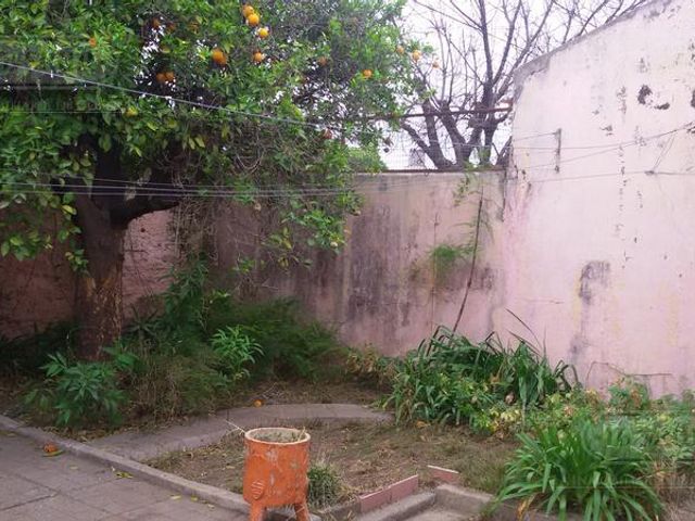 place photo 17
