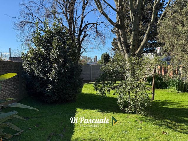 place photo 34