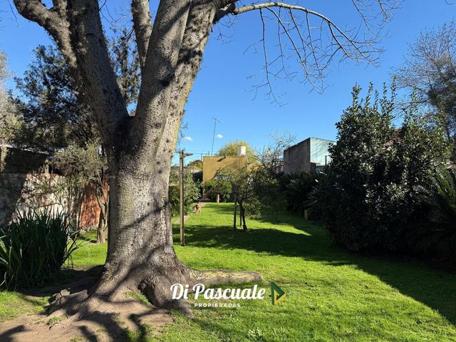 place photo 31