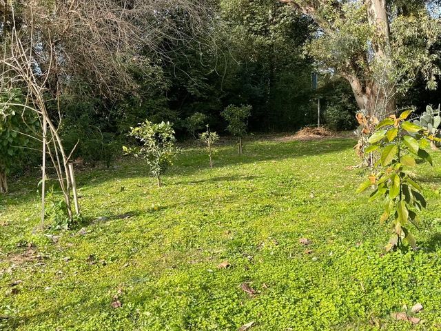 place photo 31