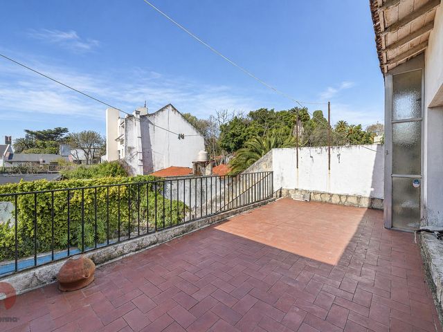place photo 38