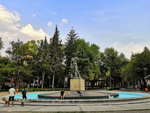 place photo 25
