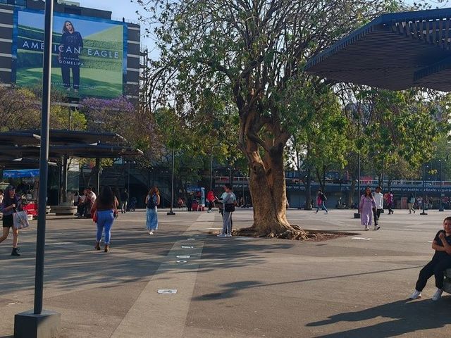 place photo 24