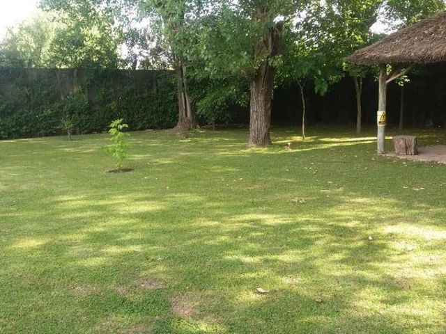 place photo 41