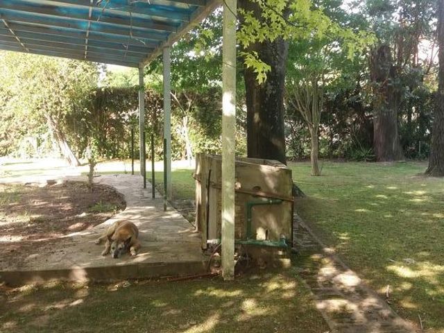 place photo 34