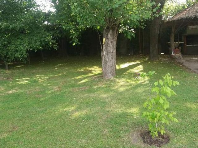 place photo 40