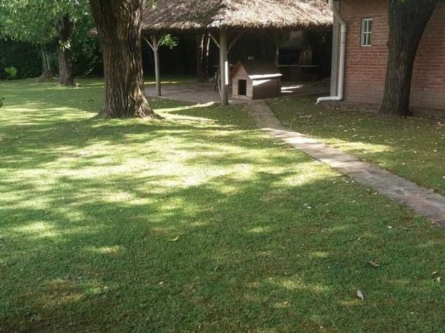 place photo 37