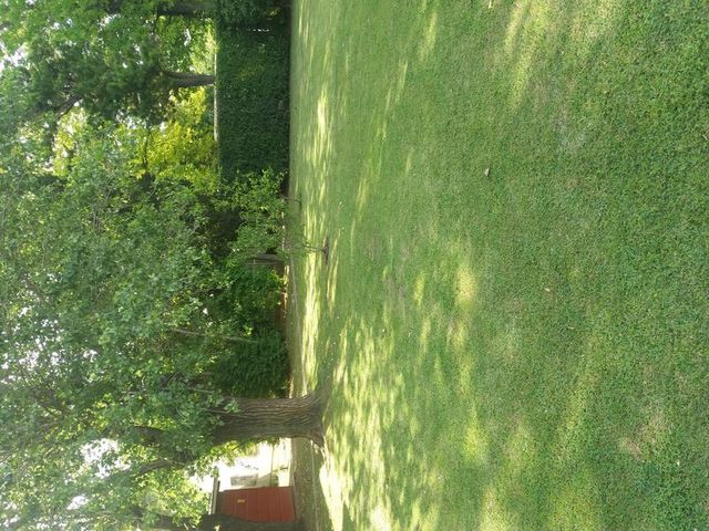 place photo 42
