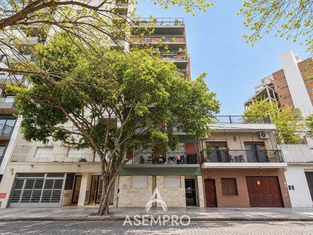 place photo 21