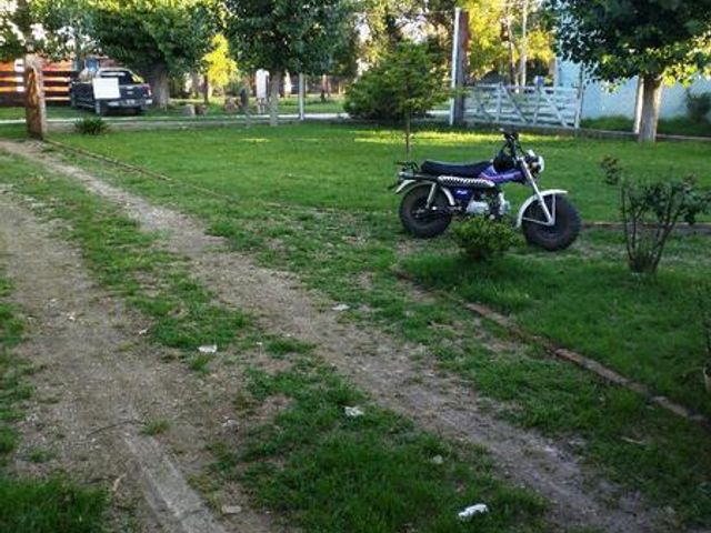 place photo 16