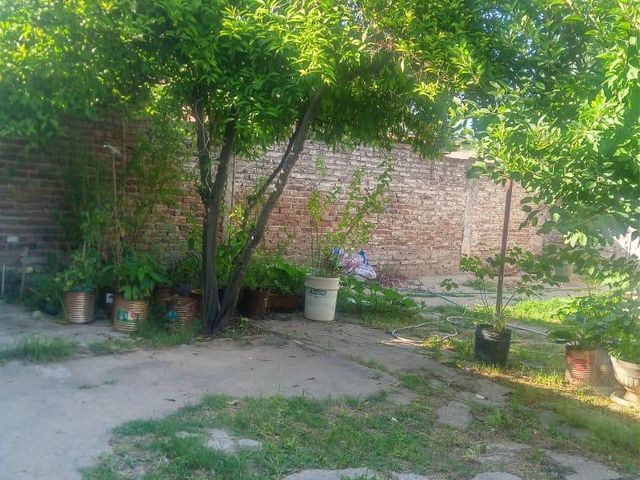 place photo 16