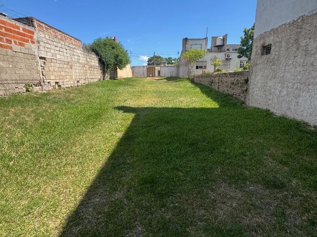 place photo 27