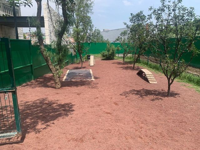 place photo 15