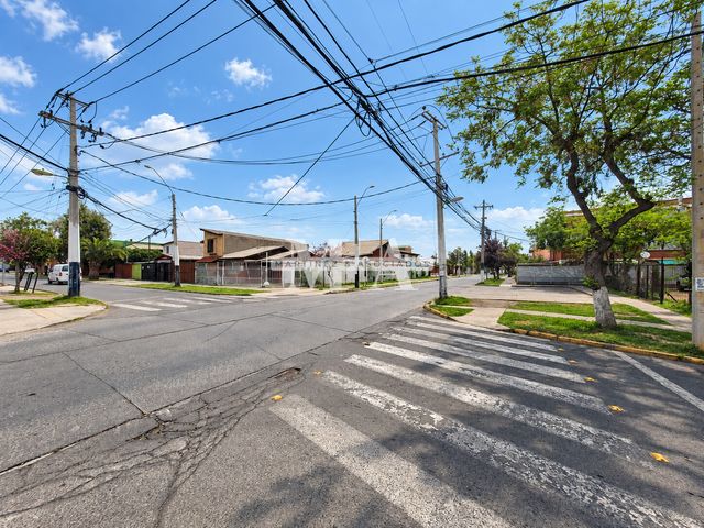 place photo 47