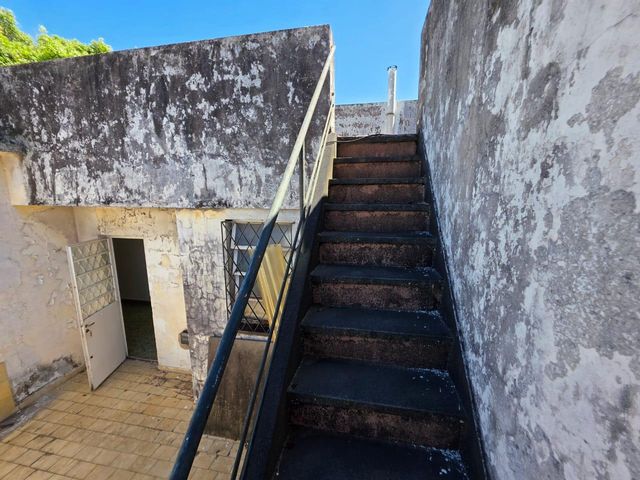place photo 53