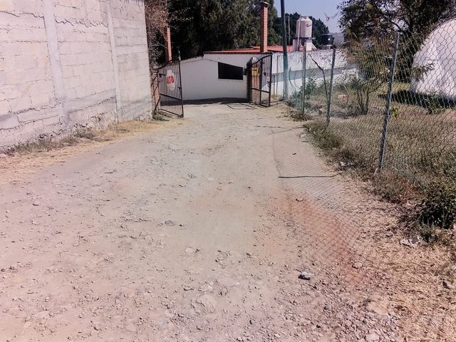 place photo 29