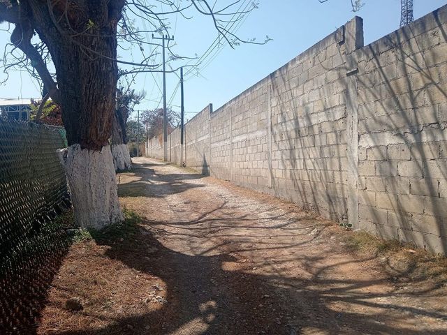 place photo 28