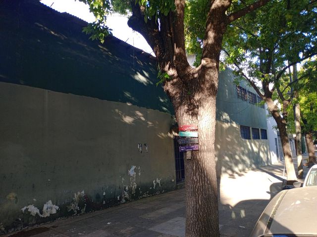place photo 13