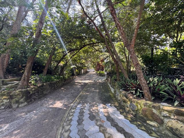 place photo 26