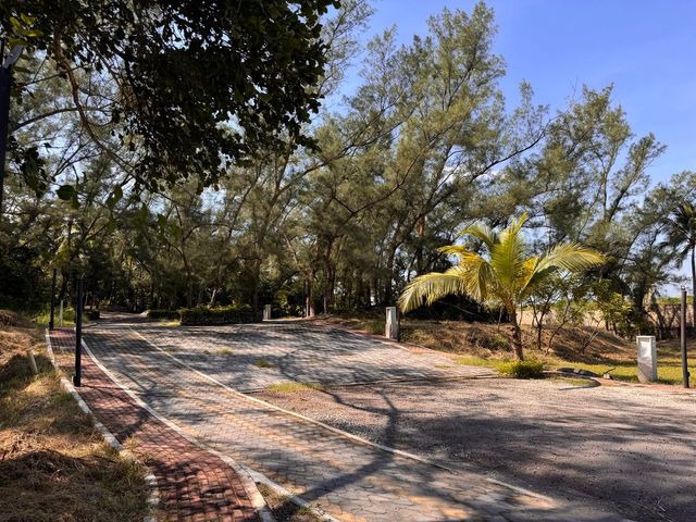 place photo 13