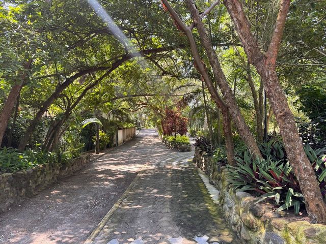place photo 27