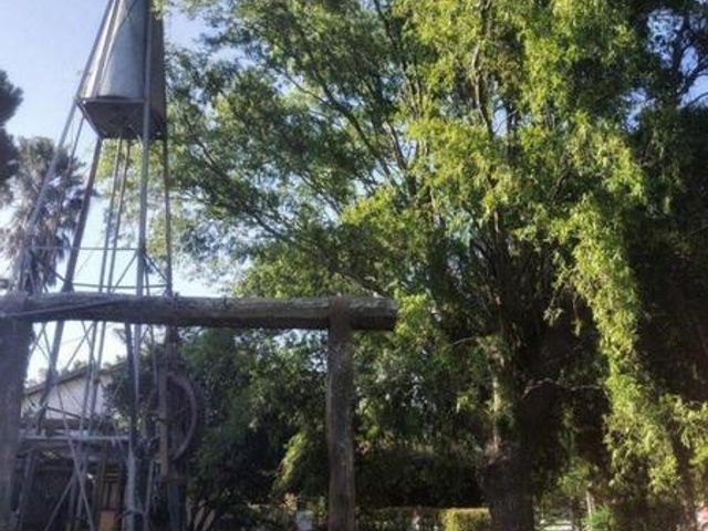 place photo 23